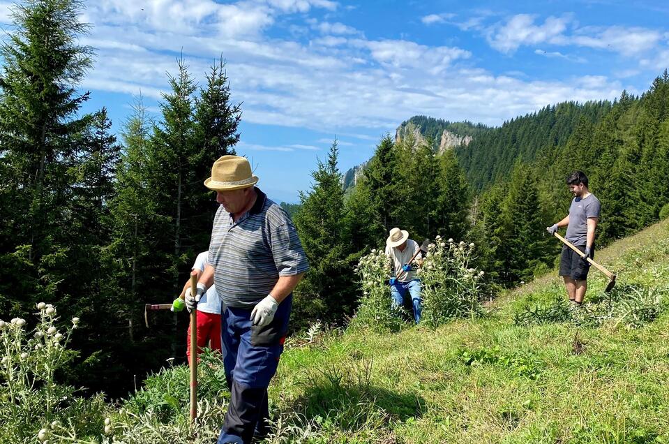 Freiwillige Helfer_Almgschwendtag_Tyrnaueralm | © Tourismusverband Oststeiermark