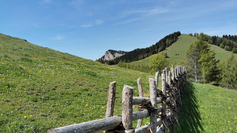 Bänderzaun_Tyrnaueralm_Oststeiermark | © Tourismusverband Oststeiermark