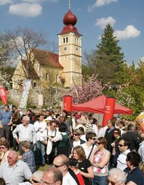 Blütenfest_Hochgartl_Oststeiermark