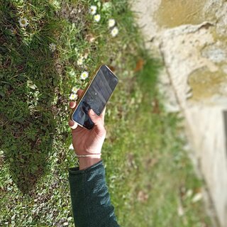 Determination app_Pöllau_Eastern Styria | © Naturpark Pöllauer Tal