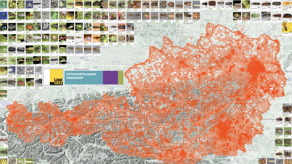 Plakat_iNaturalist_Pöllau_Oststeiermark | © Naturpark Pöllauer Tal