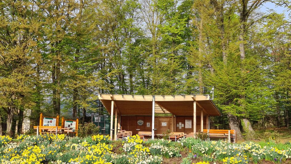 Freiluftklasse_Schloßpark_Pöllau_Oststeiermark