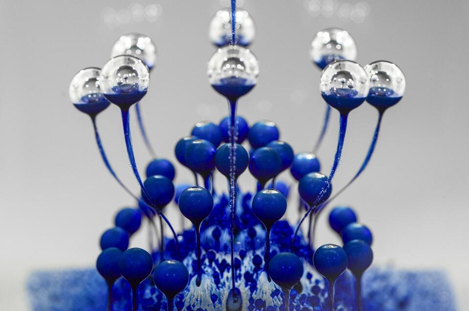 Ausstellung: „TRANSPARENZ – Zeitgenössisches Glas aus Österreich“ - Impression #1
