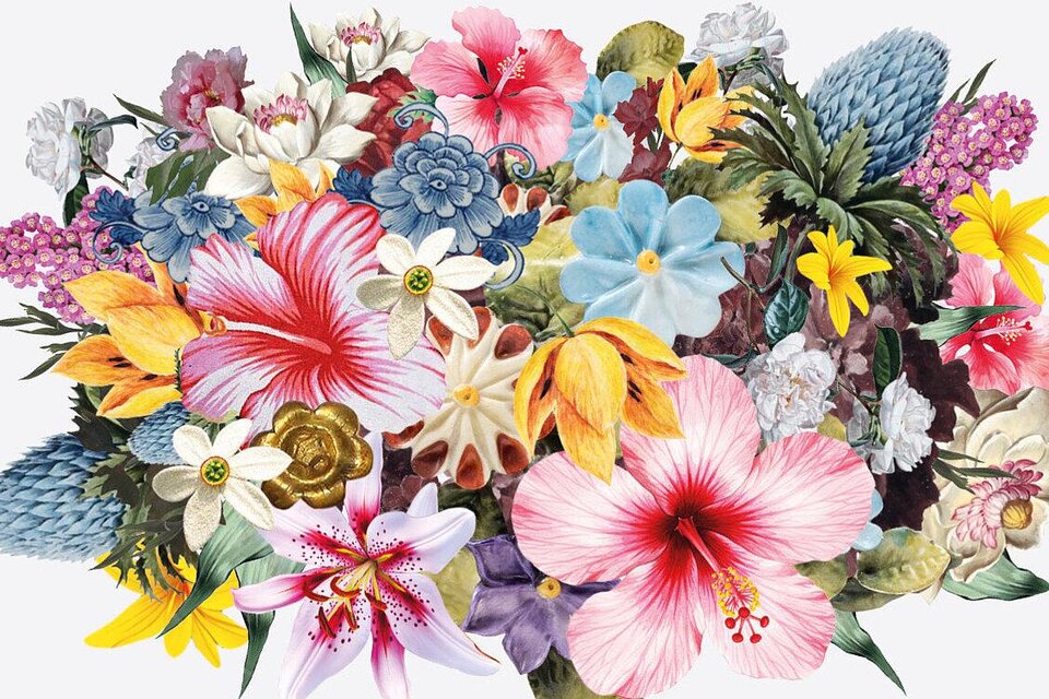 Ein buntes Arrangement aus verschiedenen Blumen in lebhaften Farben. Die Komposition zeigt eine Vielfalt an floralen Motiven und Farben. | © grafprom