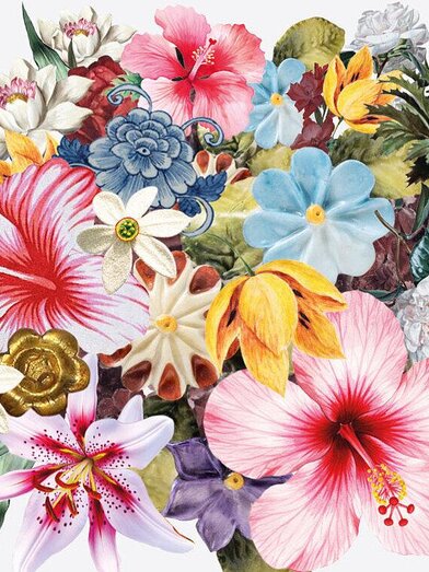 BLOOM | © grafprom | © grafprom