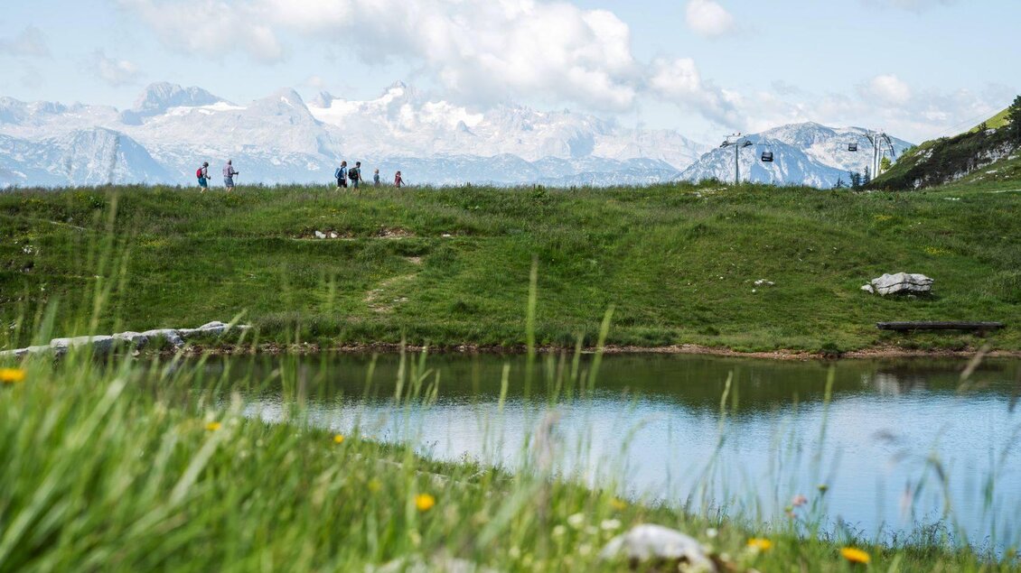 Eine grüne Wiese mit Wanderern im Hintergrund und einem klaren Bergsee im Vordergrund. Im Hintergrund sind die Alpen mit Wolken zu sehen. | © Klaus Krumböck