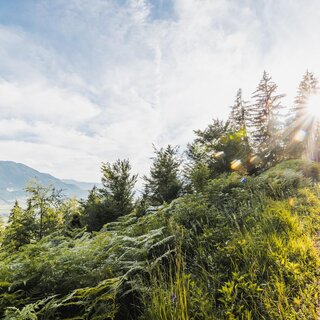 Landschaft im Gesäuse