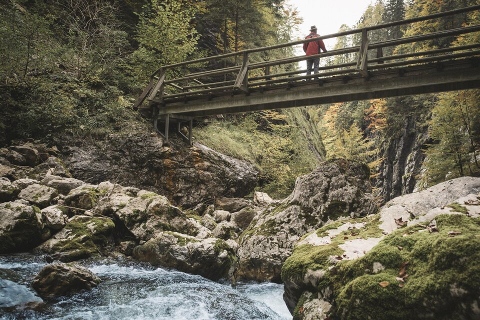 Eine Person steht auf einer Holzbrücke über einem fließenden Bach. Umgeben von grünen Felsen und herbstlichen Bäumen. | © TV Gesäuse