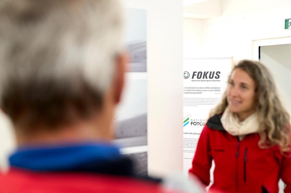 Galerie Fokus