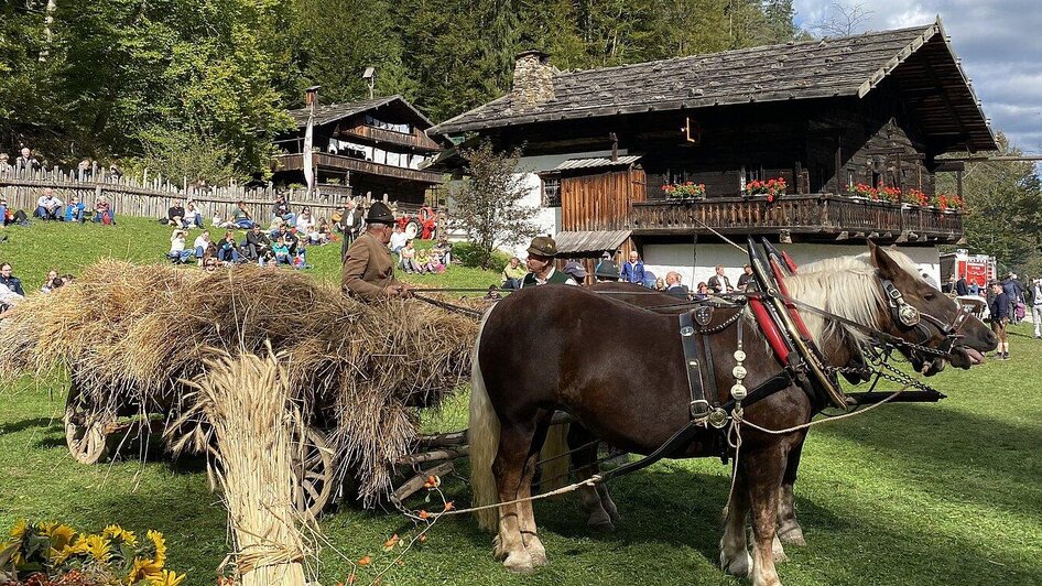 Zugpferde mit Heuwagen | © ÖFM