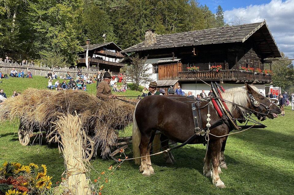 Zugpferde mit Heuwagen | © ÖFM