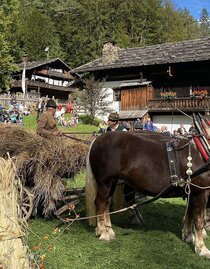 Zugpferde mit Heuwagen | © ÖFM | © ÖFM
