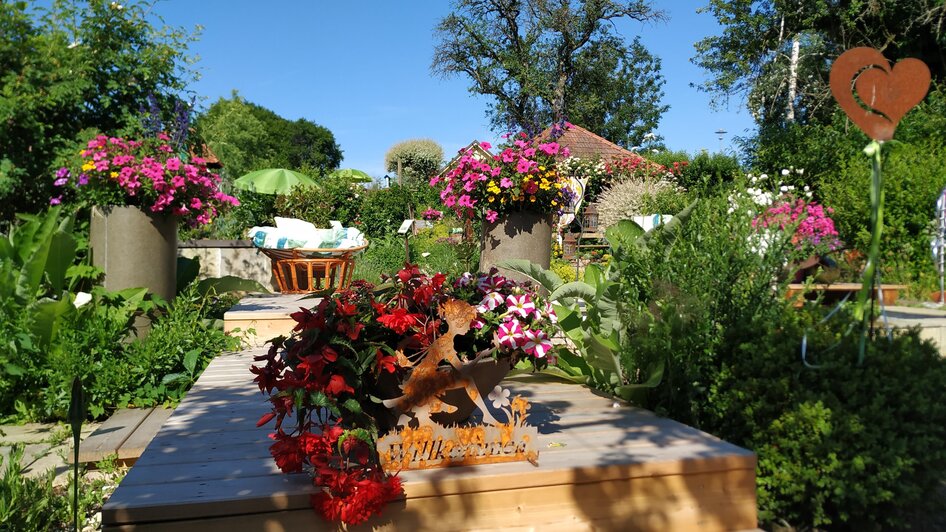 Führungen im Kräuterschaugarten Söchau - Impressionen #2.1