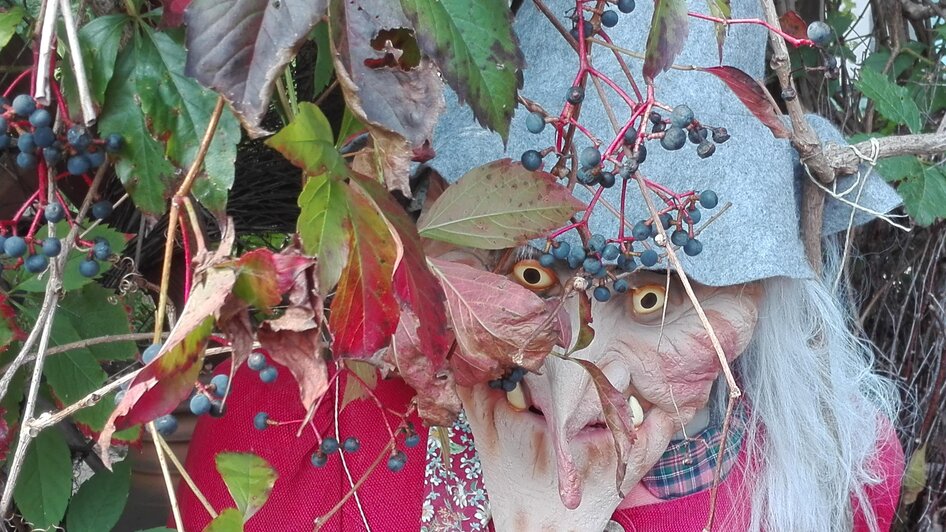 Führungen im Kräuterschaugarten Söchau - Impressionen #2.4