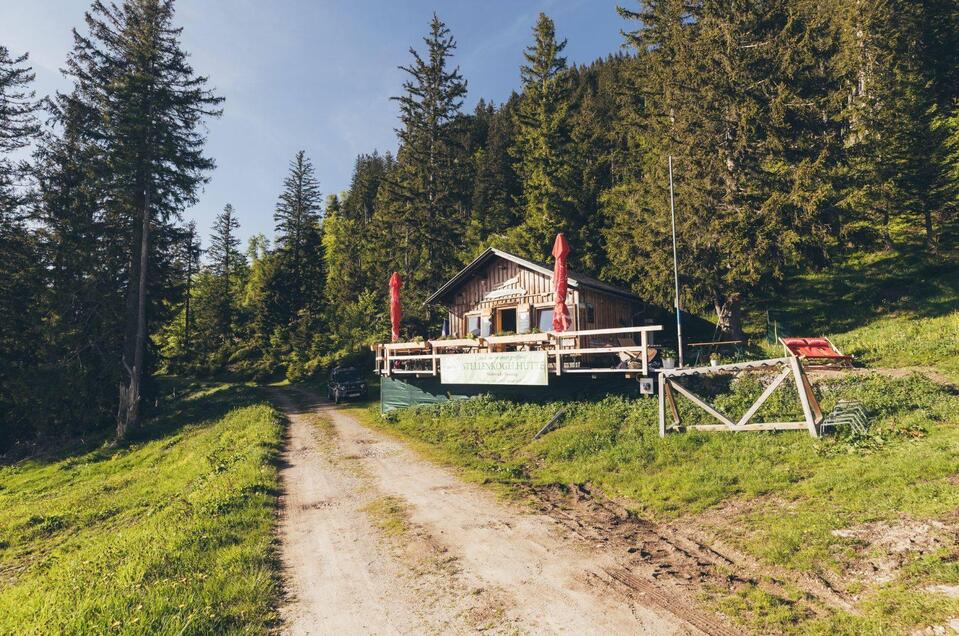Stellenkogelhütte, Altaussee, Am Wanderweg 201 | © Krewenka