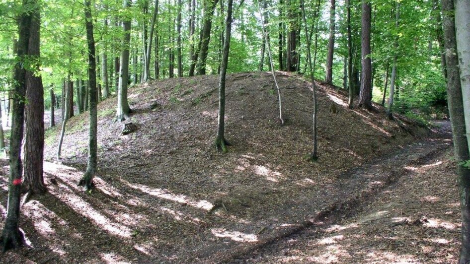 Geh ma zur Keltenrunde - Hügelgrab | © A. Kröll