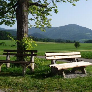 Bankerl_Landscha_Oststeiermark | © Gemeinde Thannhausen