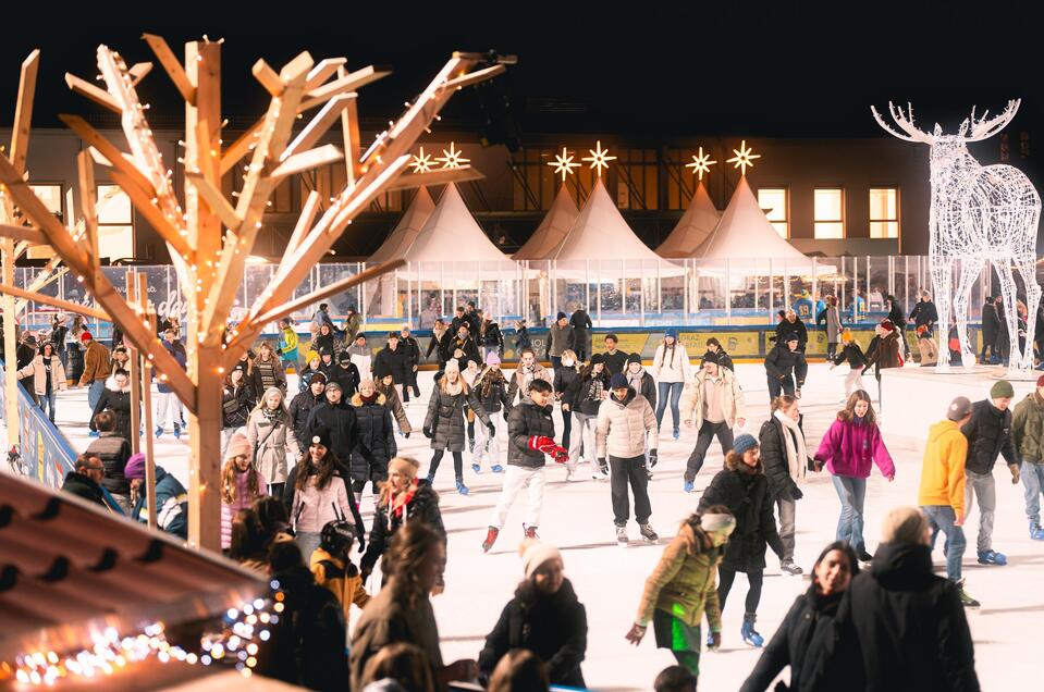 Buntes Treiben in der Winterwelt | © ®Kuro.Simon-