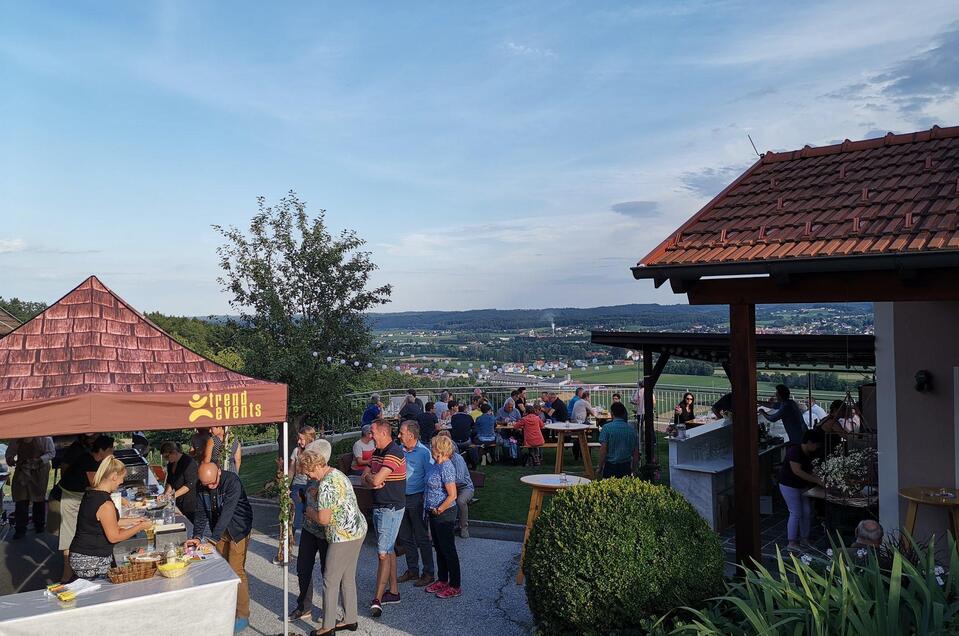 Blick vom Weingut Kapper ins Raabtal | © Weingut Kapper