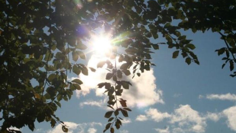 sonne