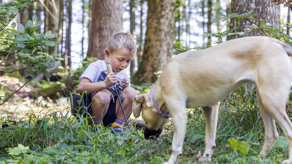 Schatzsucherwald Zloam - Urlaub mit Hund - Narziss | © www.zloam.at