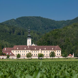 Stift Rein mit Ulrichskirche | © Region Graz- Harry Schiffer