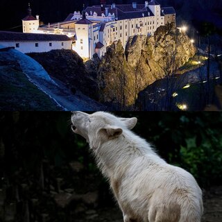 Full Moon Festival_Eastern Styria | © Tierwelt und Gartenschloss Herberstein