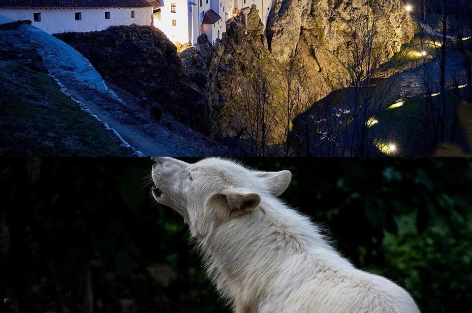 Vollmondfest_Oststeiermark | © Tierwelt und Gartenschloss Herberstein