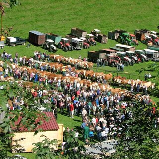 Viehmarkt Gasen_Oststeiermark_Gde Gasen | © Gemeinde Gasen