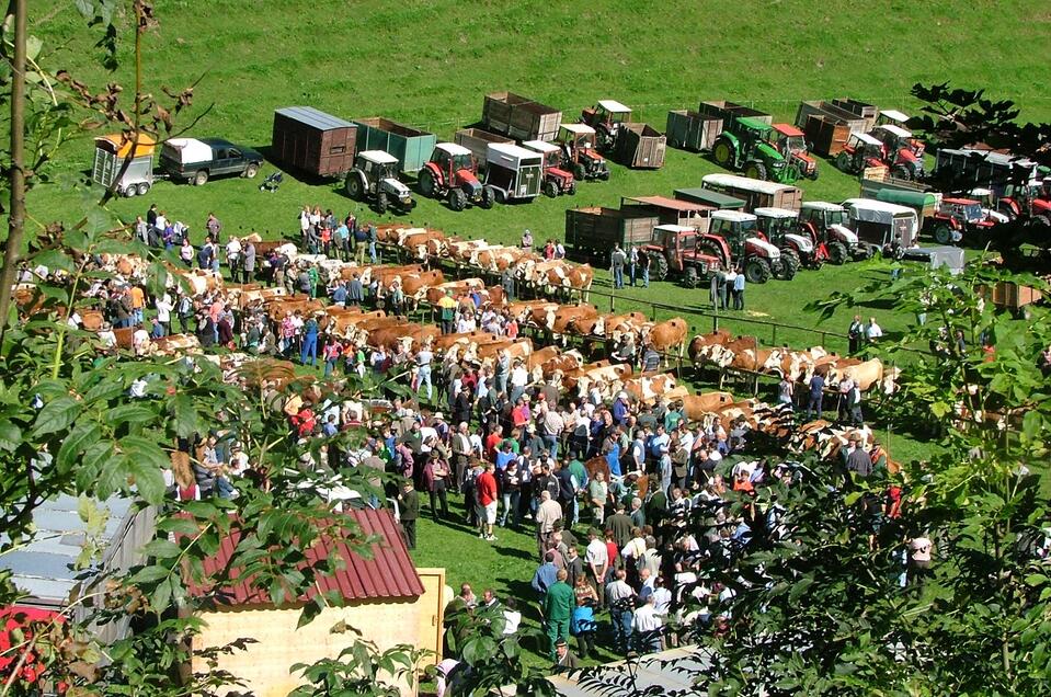 Viehmarkt Gasen_Oststeiermark_Gde Gasen | © Gemeinde Gasen