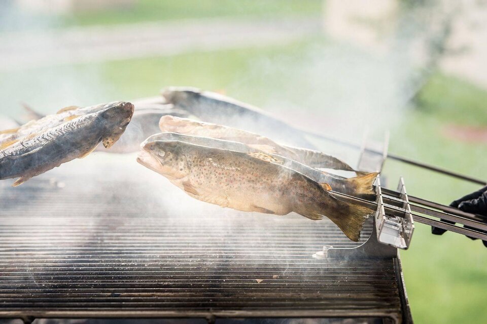 Frischer Fisch wird auf einem Grill zubereitet. Dampf steigt auf, während die Fische gleichmäßig gegart werden. | © Tauroa