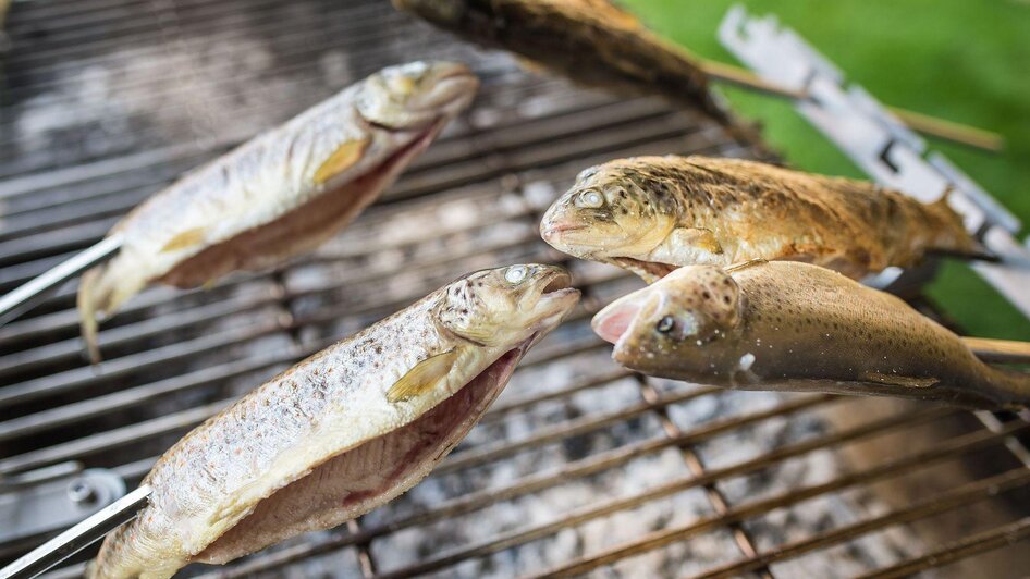 Seewiese, Altaussee, Griller | © Seewiese, Altaussee, Grill (c) Tauroa