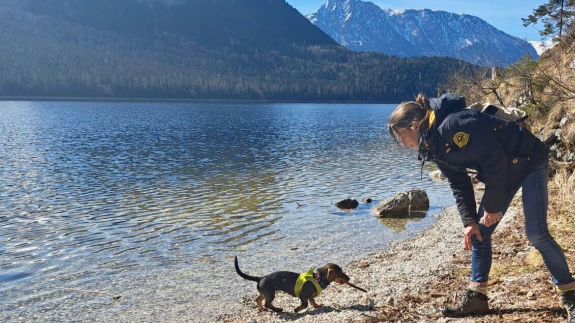 <p>Ein Dackel und seine Besitzerin am Ufer vom Grundlsee beim Spielen. Der Dackel hält ein Stöckchen in der Schnauze. </p> | © Hundeverein Ausseerland