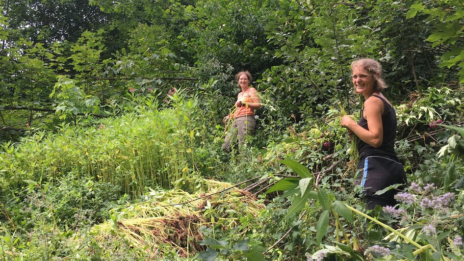 International Workcamp in zwei Nationalparks - Impressionen #2.1