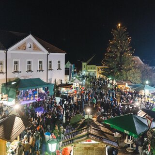 Im Überblick