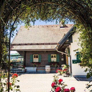 Weingut Machater | © Weingut Machater