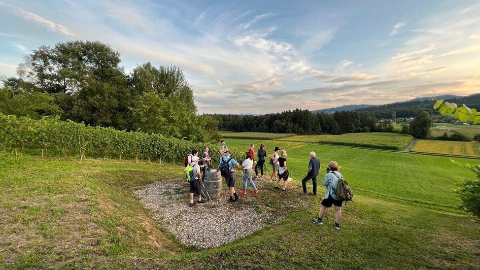 Aussichts- und Ruheplattform Weingut Resch_Longus | © Aussichts- und Ruheplattform Weingut Resch-vlg.longus