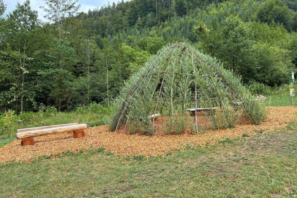 Weidendom aus lebenden Weiden mit Holzbänken am Waldrand beim Stift Rein. | © Stift Rein