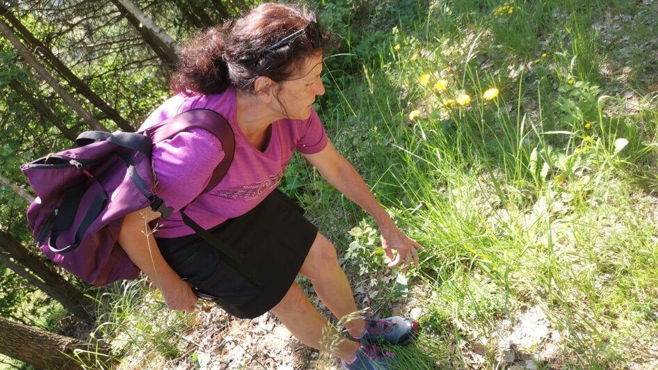 Wanderung in der Natur | © Ingrid Huber