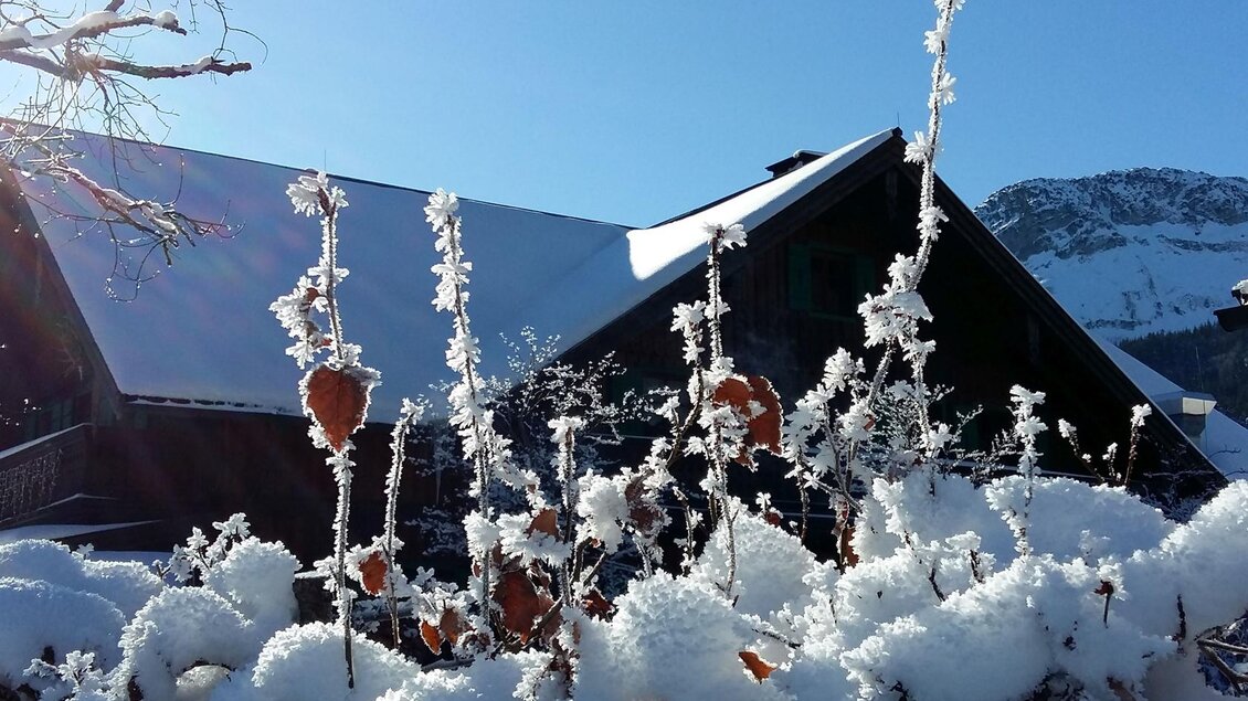Eine verschneite Landschaft mit einem klassischen Holzhaus und schneebedeckten Pflanzen im Vordergrund. Der klare blaue Himmel strahlt über der Winteridylle. | © Petra Kirchschlager