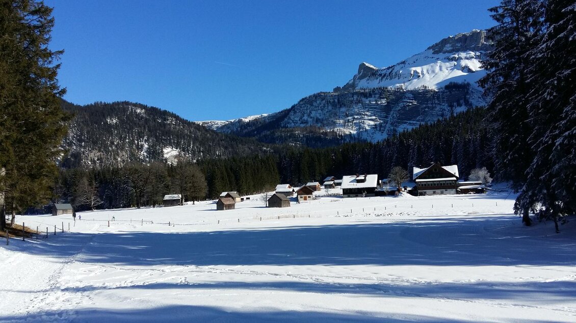Eine ruhige Winterlandschaft mit schneebedeckten Feldern und Häusern. Im Hintergrund erheben sich majestätische Berge unter einem klaren blauen Himmel. | © Petra Kirchschlager