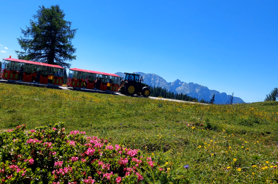 Mit dem Bummelzug zur Alm Musi Roas | © Hollhaus_www.hollhaus.at