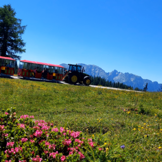 Mit dem Bummelzug zur Alm Musi Roas | © Hollhaus_www.hollhaus.at