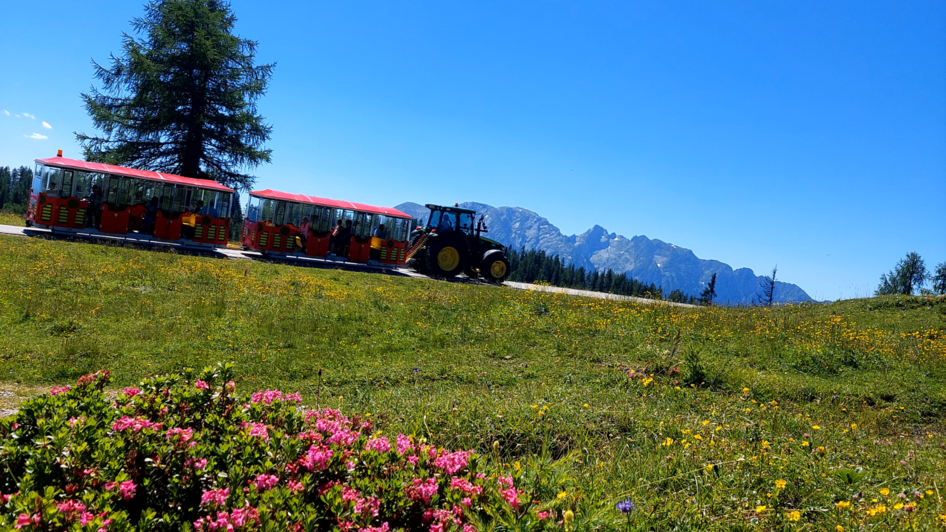 Mit dem Bummelzug zur Alm Musi Roas | © Hollhaus_www.hollhaus.at