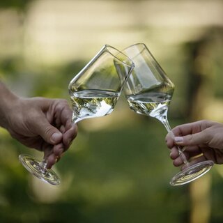 Styrian Wine | © Hubert Uranjek