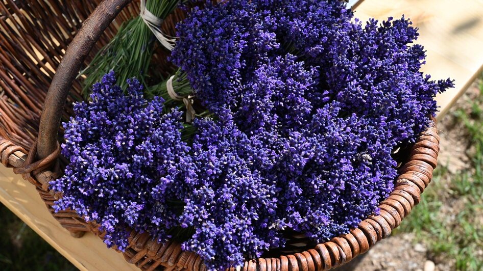 Lavendel | © Robert Werner Eisl
