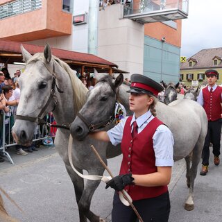 Alpine cattle drive in Köflach | © Robert Cescutti