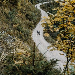 Luchstrail | © Max Mauthner