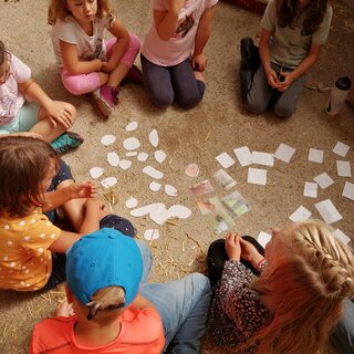ABC-Hufis-Spiele-Murtal-Steiermark | © Martina Hochfellner