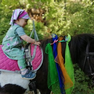 ABC-Hufis-Pony1-Murtal-Steiermark | © Martina Hochfellner